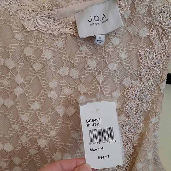 J.O.A. (Just One Answer) Blush Lace Sleeveles Dress - Picture 8 of 8